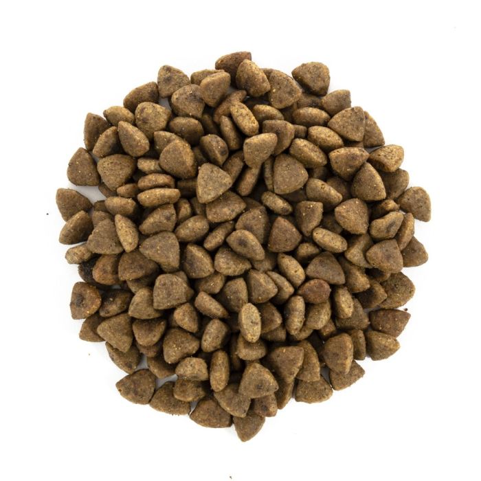 Корм сухий Brit Care Cat Grain Free Haircare Healthy and Shiny Coat для котів догляд за шкірою і шерстю лосось та курка 7 кг
