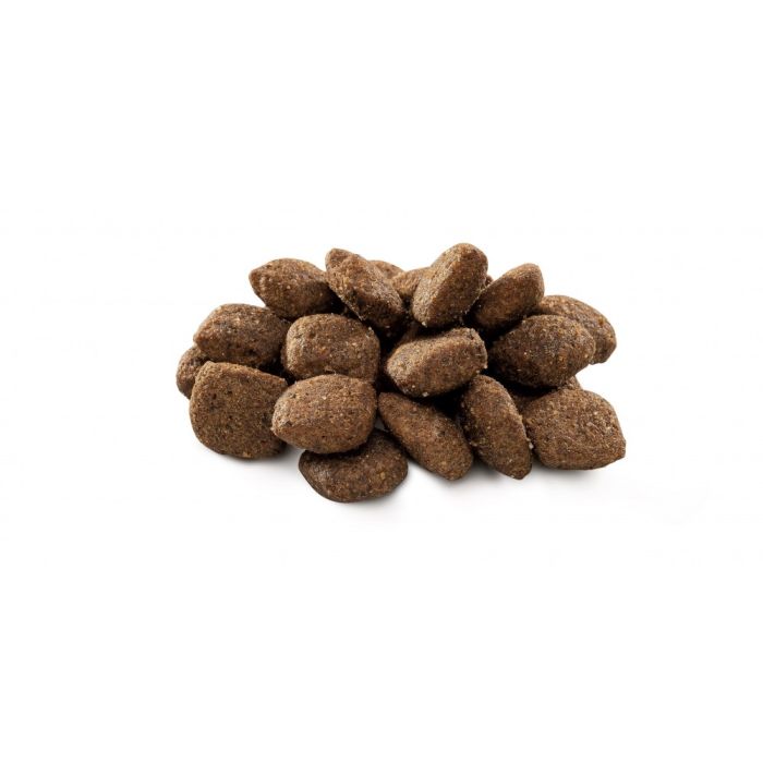 Корм сухий Brit Premium Dog Sensitive Lamb для собак з чутливим травленням з ягням 15 кг