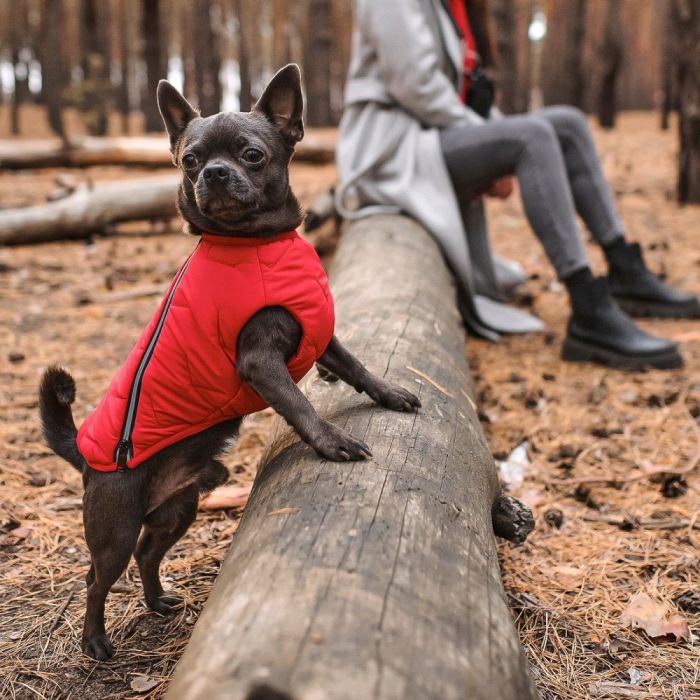Жилет Pet Fashion E.Vest для собак червоний М2