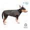 Жилет Pet Fashion E.Vest для собак сірий SМ
