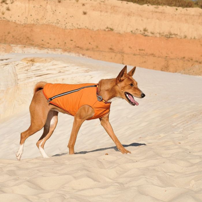 Жилет Pet Fashion E.Vest для собак помаранчевий L