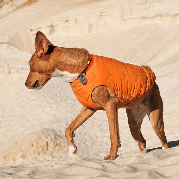 Жилет Pet Fashion E.Vest для собак помаранчевий XS