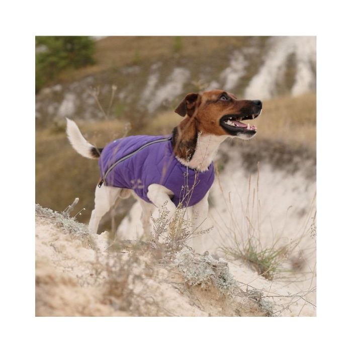 Жилет Pet Fashion E.Vest для собак фіолетовий SМ