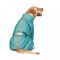 Комбінезон Pet Fashion Cold для собак бірюза XS