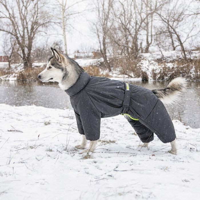 Комбінезон Pet Fashion Cold для собак сірий 3XL