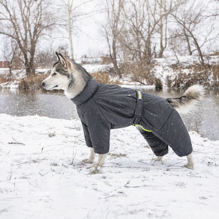 Комбінезон Pet Fashion COLD для собак сірий 7XL