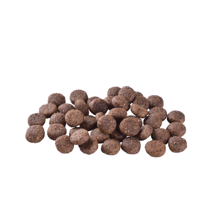 Корм сухий Brit Care Dog Grain-free Adult для дорослих собак малих і середніх порід беззерновий з лососем 3 кг