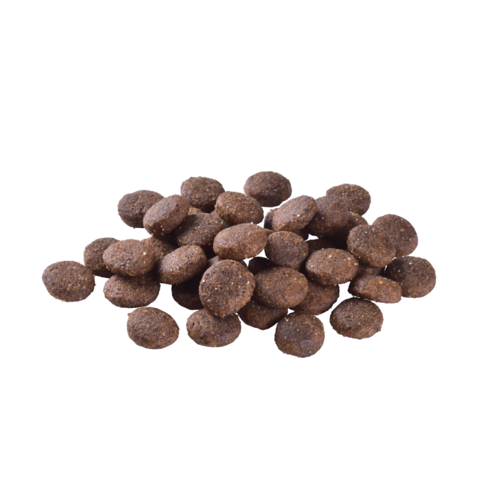 Корм сухий Brit Care Dog Grain-free Junior Large Breed для молодих собак великих порід беззерновий з лососем 1 кг