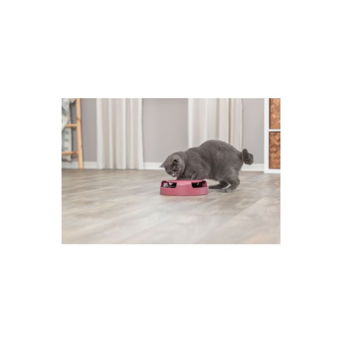 Іграшка Trixie Catch The Mouse для котів Трек ігровий з плюшевою мишкою пластик 25х6 см