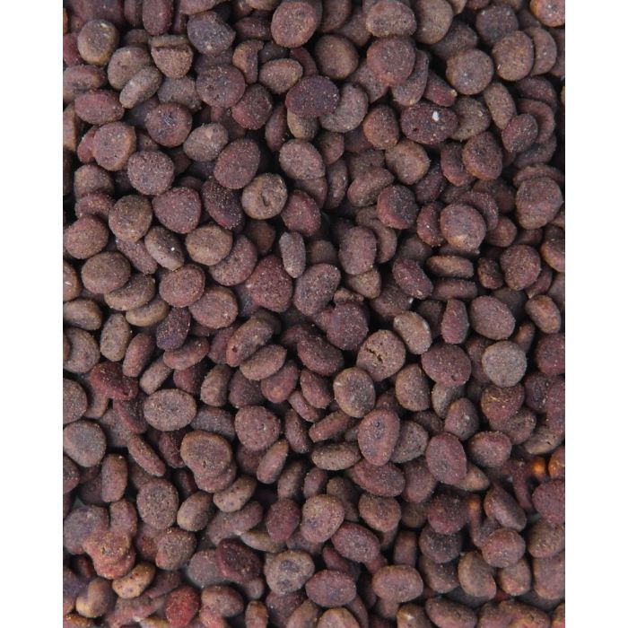 Корм сухий Carnilove True Fresh Cat Fresh Fish для дорослих котів з рибою 4,8 кг
