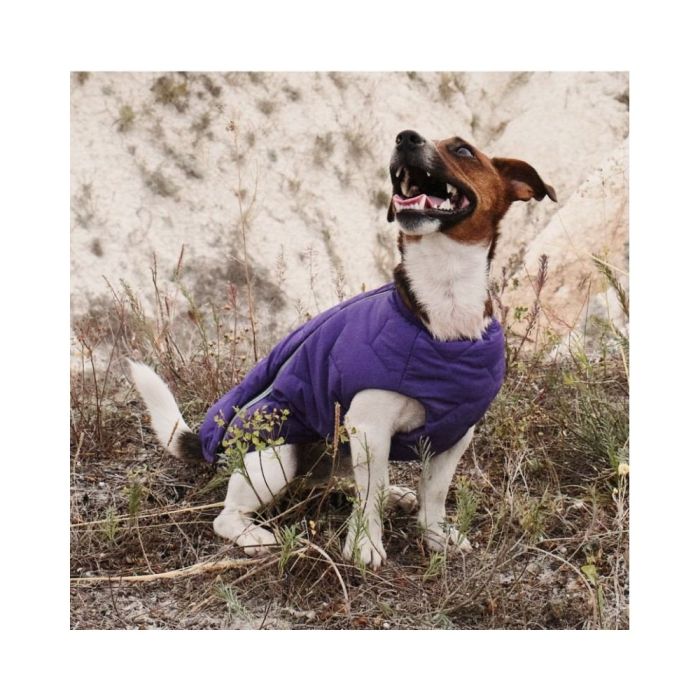 Жилет Pet Fashion E.Vest для собак фіолетовий М2