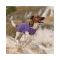 Жилет Pet Fashion E.Vest для собак фіолетовий М2