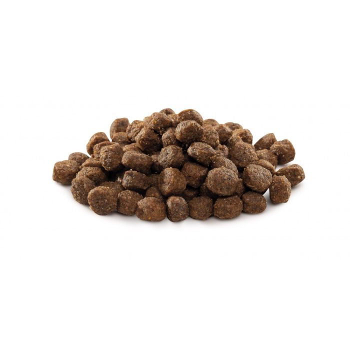 Корм сухий Brit Premium Dog Adult S для дорослих собак дрібних порід вагою 1-10 кг з куркою 8 кг