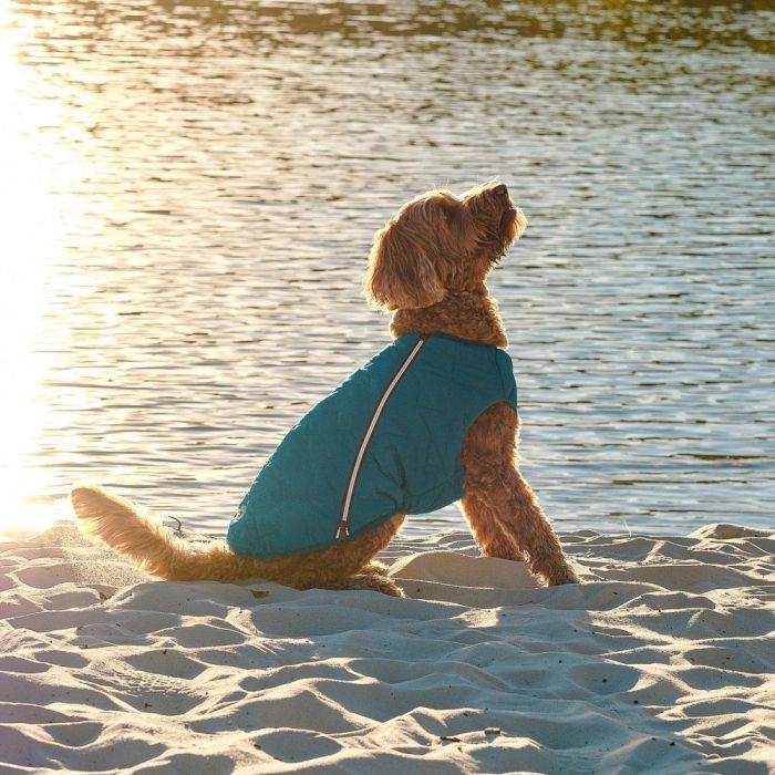 Жилет Pet Fashion E.Vest для собак морська хвиля L
