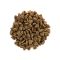 Корм сухий Brit Care Cat Grain Free Adult Activity Support для вуличних та дорослих котів філе індички та курки 2 кг