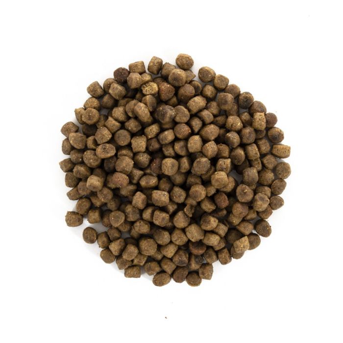 Корм сухий Brit Care Cat Grain Free Kitten Healthy Growth and Development для кошенят для здорового зростання та розвитку 40