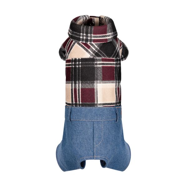 Костюм Pet Fashion Dandy для собак XS