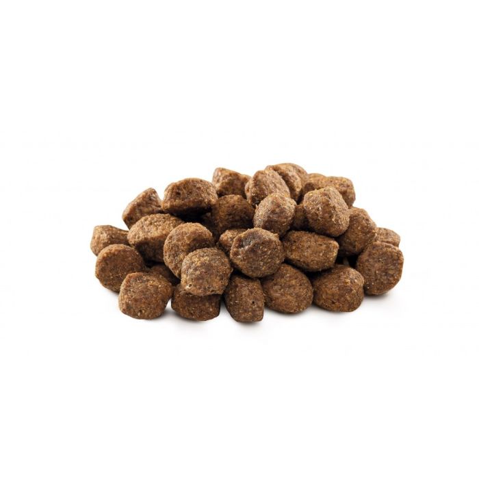 Корм сухий Brit Premium Dog Senior S+M для собак дрібних та середніх порід похилого віку вагою 1-25 кг з куркою 3 кг