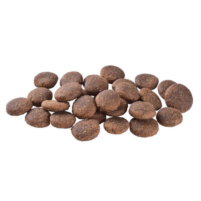 Корм сухий Brit Care Dog Grain-free Adult Large Breed для дорослих собак великих порід беззерновий з лососем 12 кг