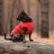 Жилет Pet Fashion E.Vest для собак червоний XL