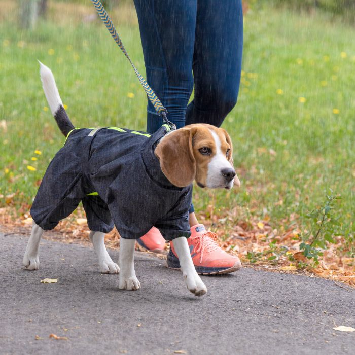 Комбінезон Pet Fashion RAIN для собак сірий 2XL