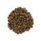 Корм сухий Brit Care Cat Grain Free Sensitive HDigestion Delicate Taste для котів з чутливим травленням індичка та лосось 2