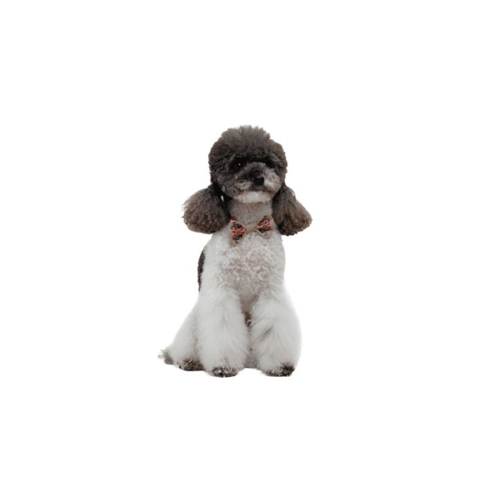 Аксесуар шийний Pet Fashion Ruta для собак S -М