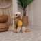 Футболка Pet Fashion Kent для собак XS2
