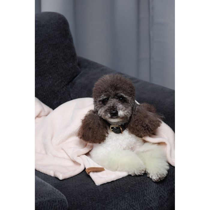 Плед Pet Fashion Bliss 2 для собак і котів плюш пудра 68х114,6 см