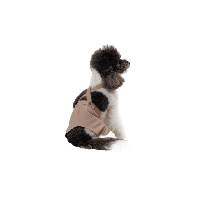 Шорти Pet Fashion Leo для собак М