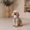 Майка Pet Fashion Tropic для собак L
