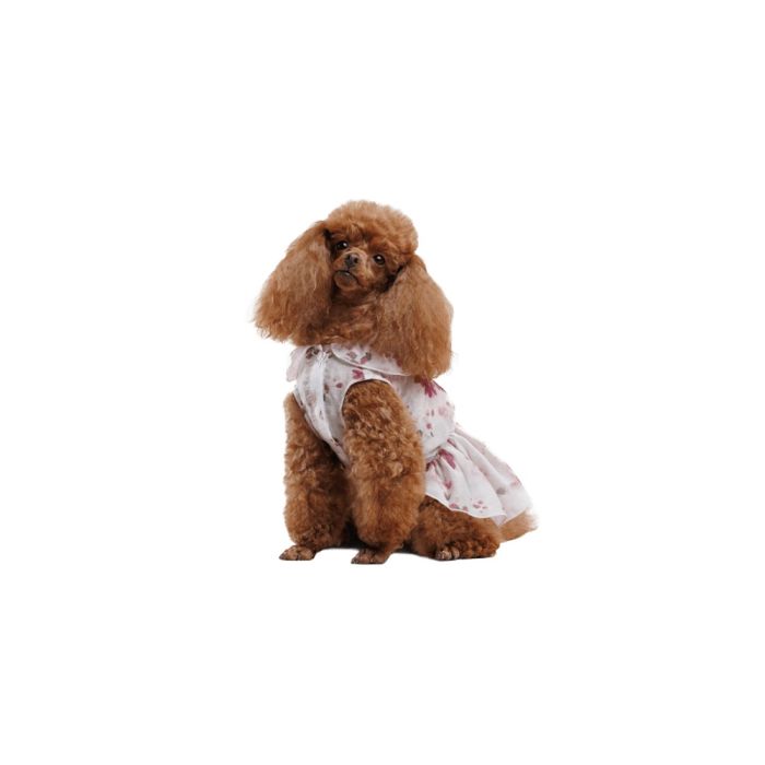 Сукня Pet Fashion Amelia для собак М