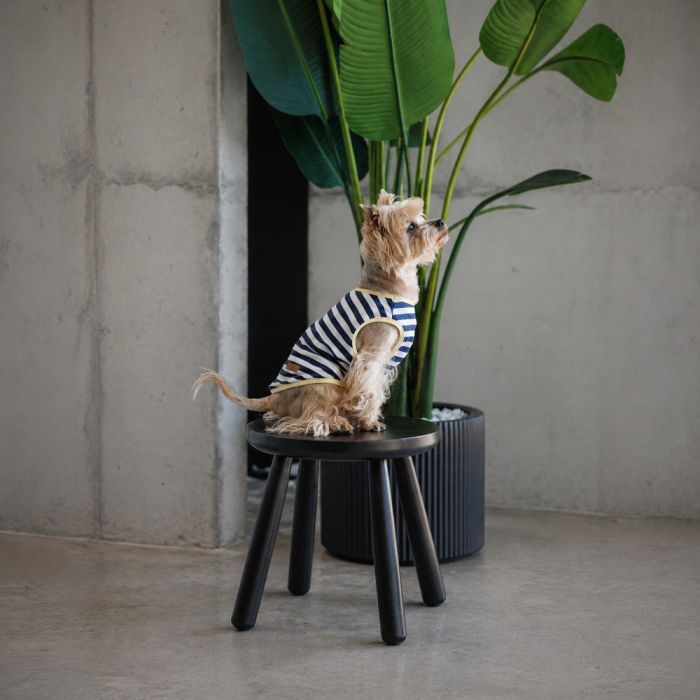Майка Pet Fashion Tropic для собак L