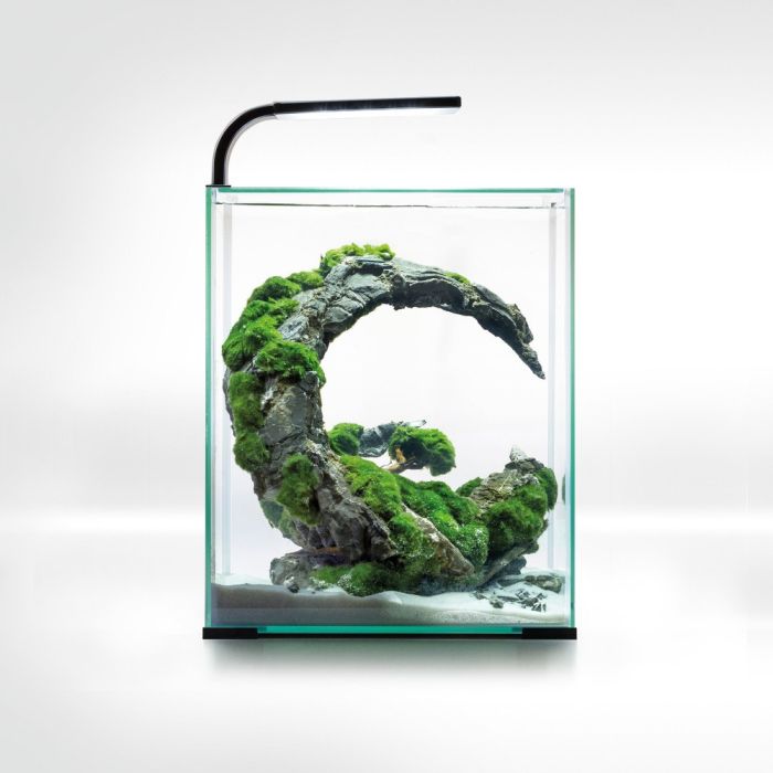 Акваріум Aquael Smart Day Night для креветок чорний прямий 30 л