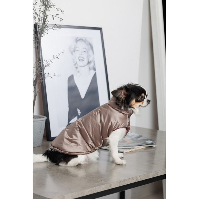 Жилет Pet Fashion Hardy для собак утеплений водонепроникний з отвором для повідця бежевий розмір M2