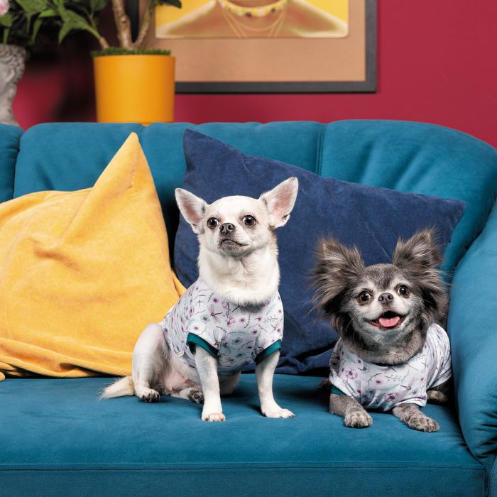 Футболка Pet Fashion Flora для собак бавовна трикотаж біла з квітковим принтом XS