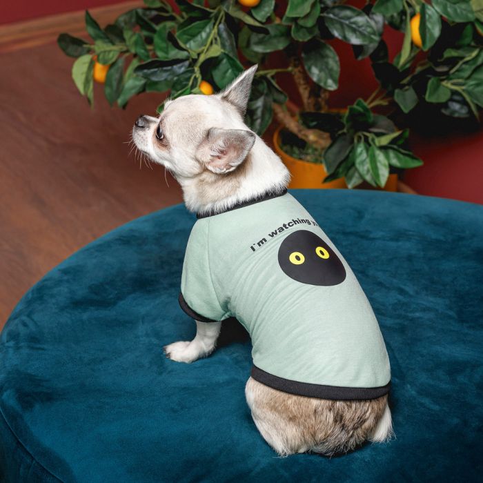 Футболка Pet Fashion Oscar для собак бавовна трикотаж рібана блакитна XS2