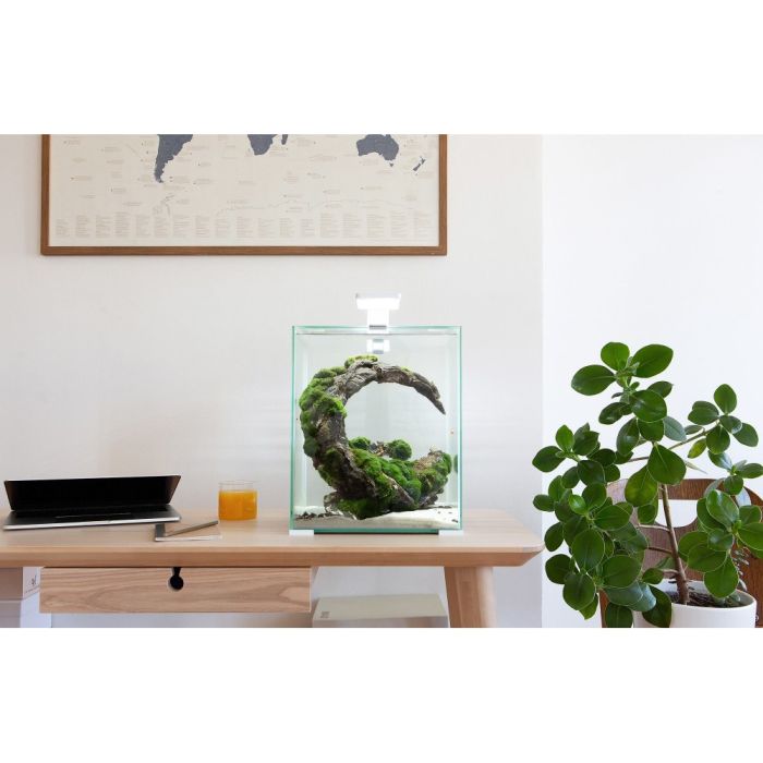 Акваріум Aquael Smart Day Night для креветок чорний прямий 30 л