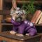 Костюм Pet Fashion LOLA для собак бузковий XS