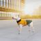 Попона Pet Fashion Roy для собак хакі/гірчиця 7 XL