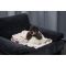Плед Pet Fashion Bliss 2 для собак і котів плюш пудра 68х114,6 см