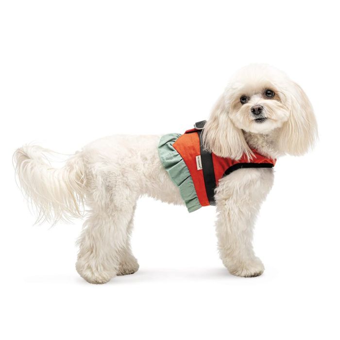 Шлея Monika ТМ Pet Fashion для собак S