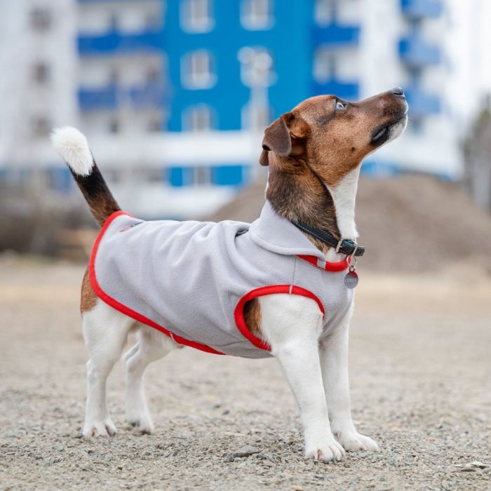 Жилет Pet Fashion Fleecy для собак сірий/червоний М