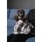 Плед Pet Fashion Bliss 1 для собак і котів плюш сірий картатий 70,5х55,5 см