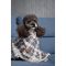 Плед Pet Fashion Bliss 2 для собак і котів плюш сірий картатий 70,5х94 см