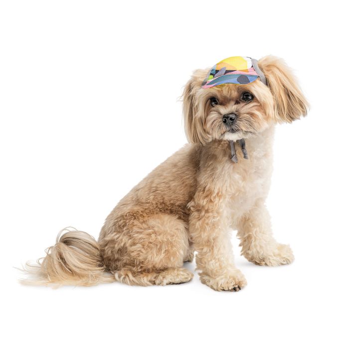Кепка Tony ТМ Pet Fashion для собак L