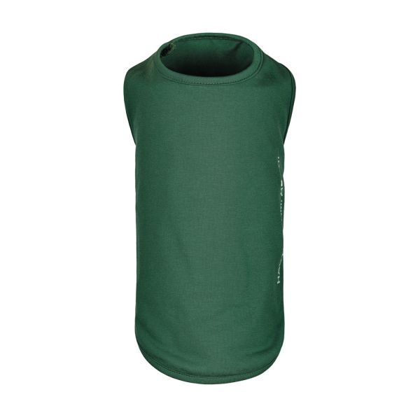 Борцівка Kale ТМ Pet Fashion для собак S зелена