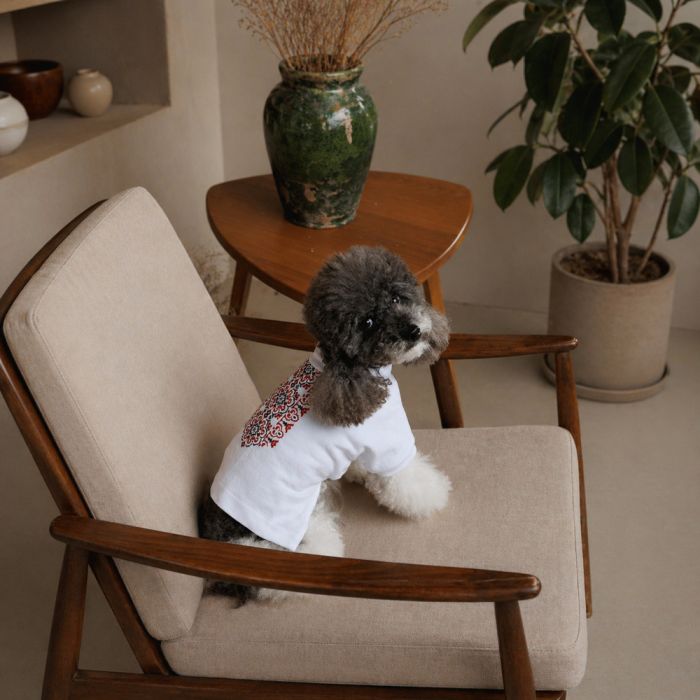 Футболка Pet Fashion Ukraine для собак XS
