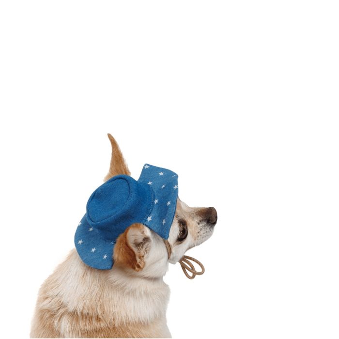 Панама  Pet Fashion Stars для собак XS