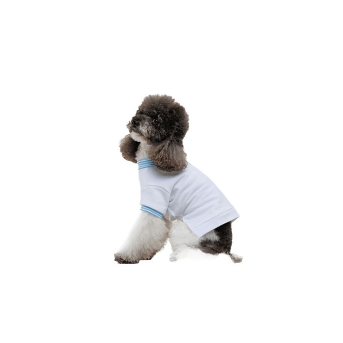 Футболка Pet Fashion Polo для собак XS2